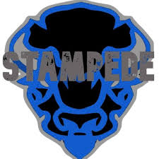 Bedford Stampede Softball